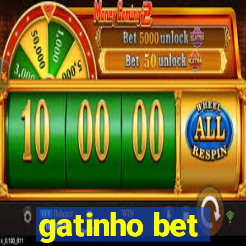 gatinho bet